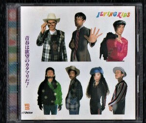 ∇ フライングキッズ FLYING KIDS 1991年 CD/青春は欲望のカタマリだ!/ザ・タイガース カバー 君だけに愛を 他全10曲収録/浜崎貴司