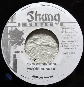 【Wayne Wonder / Groove My Mind】 [♪ZG] [♪ZQ] (R6/11)