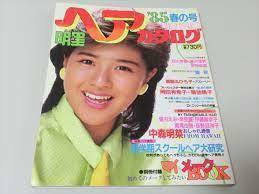 明星ヘアカタログ/1985年春の号/菊池桃子/中森明菜/岡田有希子/荻野目洋子ほか/昭和60年