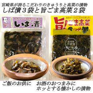 『宮崎の漬物』 旨!ごま高菜 150ｇ×2袋 しば漬 150ｇ×3袋 高菜漬け きゅうり漬 ご飯のお供 お酒のつまみ