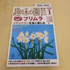 E61-045 NHK趣味の園芸 2005年 1月号 日本放送出版協会 