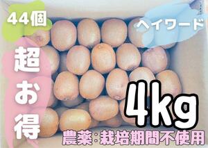 【超お得】おまけつき ！国産キウイフルーツ！沢山入った4kg＋α