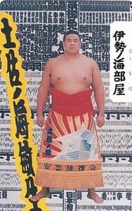 ●大相撲 土佐ノ海 伊勢ノ海部屋テレカ