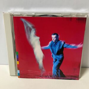 CD / ピーター ガブリエル / US / VJCP-28125 / PETER GABRIEL /