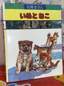 ☆学研 知育ずかん いぬと ねこ 昭和 図鑑 犬と猫 Educational picture book Dogs and cats