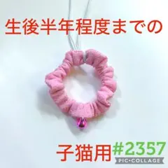 #2357 子猫用シュシュ首輪