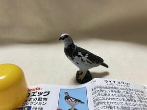 チョコエッグ　日本の動物コレクション　ライチョウ