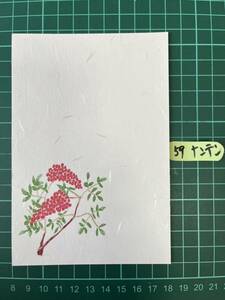 絵はがき　5枚　ナンテン　#59