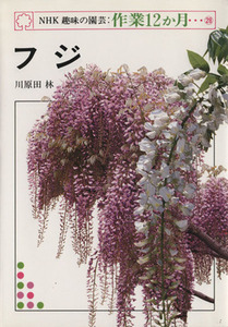 趣味の園芸 フジ NHK趣味の園芸 作業12か月28/川原田林(著者)