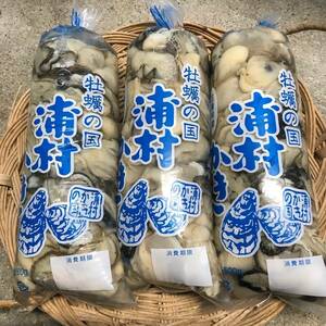 【送料無料】【生食用】三重県産 浦村かき むき身 牡蠣（５００g）×4袋 総重量2キロ 真牡蠣 生牡蠣 牡蠣 カキ かき OYSTER オイスター