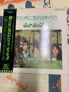 14 LPレコード チューリップ 