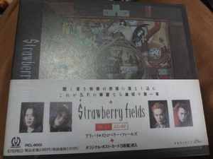 Strawberry fields（ストロベリーフィールズ） ALiBI/アリバイ 初回盤　CD　アルバム