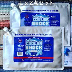 クーラーショックCOOLER SHOCK【Ｌｘ2点セット】−7.8度を長時間キープする氷点下保冷剤 アウトドア キャンプ BBQ バーベキュー 釣り