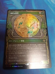 mtg 　　温厚な襞背　日本語　ショーケース　foil