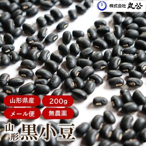 ポイント消化 送料無料 黒小豆 200g 無農薬 令和6年産 山形県産 丸公 村山 小豆 1000円ポッキリ 希少