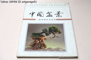 中国盆景・佳作賞析与技芸/Chinese Bonsai・Appreication of Fine Pieces and Bonsai Craftsmanship/中国の盆栽・名品と技の鑑賞/中国語