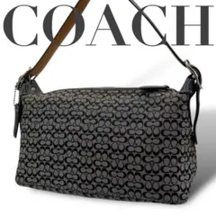 ✨美品　COACH コーチ　ハンドバッグ　ミニシグネチャー　レザー　ブラック　黒