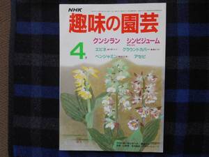 ★　NHK　 趣味の園芸　昭和61年4月号　タカ51