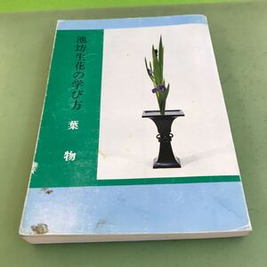 C03-032 池坊生花の学び方 葉物 嘉ノ海新二著/汚れあり