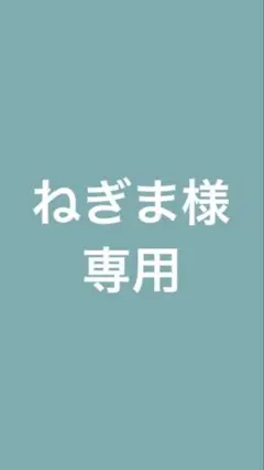 等身大 ポカブ ぬいぐるみ ポケモン