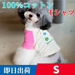犬Tシャツ 100%コットン 犬服 犬 服 小型犬服 インナー カットソー S