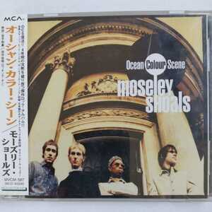 オーシャン・カラー・シーン モーズリー・ショールズ 国内盤帯有 ocean color scene moseley shoals