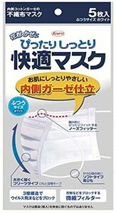 興和ぴったりしっとり快適マスク快適マスク５枚入 ×１０個セット