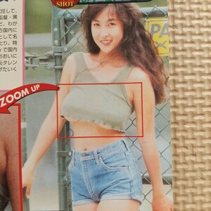 お宝 アイドル 水着 セクシーショット 豊乳 かとうれいこ 永作博美 切り抜き　1ページ