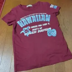 teamgoddess　HawaiianＴシャツ　サーフＴシャツ　茶