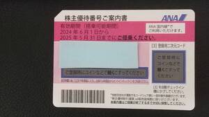 1枚　ANA 株主優待券　25年5月末期限