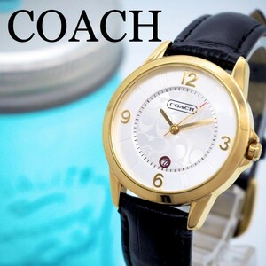 704 COACH コーチ レディース腕時計 シグネチャー 新品ベルト デイト