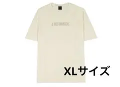 アママニエール×ジョーダン Tシャツ XLサイズ