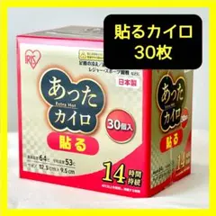 【新品★未使用】アイリス　使い捨てカイロ　貼る　レギュラー　30枚　日本製　防災