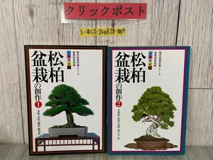 3-#計2冊 『松柏盆栽の創作1』黒松・赤松・錦松・蝦夷松 『松柏盆栽の創作2』五葉松・杜松・真柏・米ツガ・杉 1980年 昭和55年 樹石社