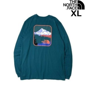 1円～!売切!【正規新品】THE NORTH FACE◆L/S PARKS TEE 長袖 Tシャツ ロンT US限定 バックプリント キャンプ アウトドア(XL)緑 180902-5