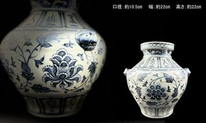 24111232青花染付　壷　花瓶　獅子彫刻双耳　花草文絵　中国時代美術焼物