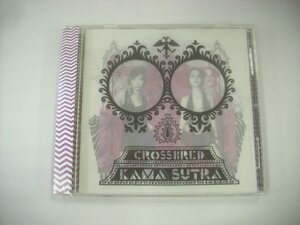 ■ 帯付 CD CROSSBRED / KAMA SUTRA クロスブレッド スピリチュアルインダストリアル 2007年 MEATBOX RECORDS MB-009 ◇r61216