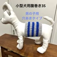 小型犬用腹巻き3S 男の子用　Ｈ-474