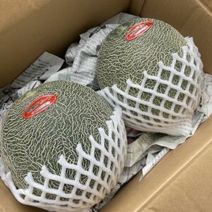 肥後グリーンメロン ！生産者直売