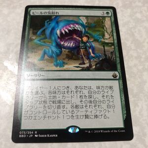 同梱発送歓迎！　MTG ピールの気紛れ　日本語版