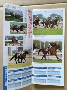 競馬 JRA レープロ970607東京 目黒記念 アグネスカミカゼ/ノンコノユメの祖母/Hハギノリアルキング マチカネタンホイザ ヤマニングローバル