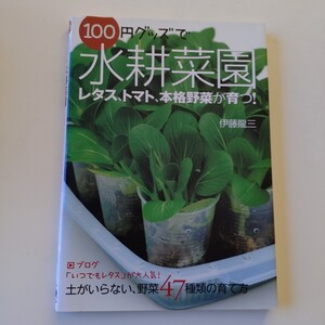 USED １００円グッズで水耕菜園　土がいらない、野菜４７種類の育て方 伊藤龍三／著