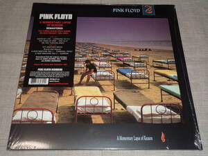 PINK FLOYD - A MOMENTARY LAPSE OFREASON (16年リマスターUS盤)