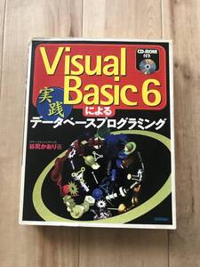 ☆★☆ 技術評論社★VisualBasic6による実践データベースプログラミング★谷尻かおり著 ☆★☆