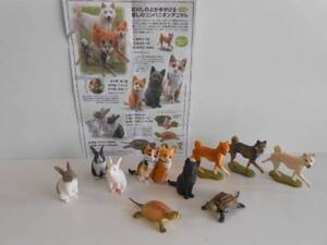 ♯Jqi15EtカプセルQミュージアム日本のペット動物大全1全11種犬:♂KAIYODO海洋堂 ♀300円〓013843_c