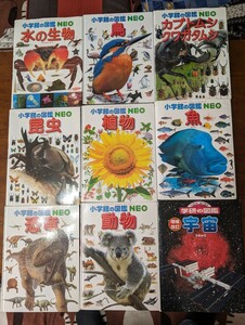 小学館　小学館の図鑑NEO　学研　図鑑　恐竜　動物　昆虫　植物　魚　鳥　水の生物　カブトムシクワガタムシ　宇宙