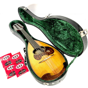 【美品/稀少】SUZUKI スズキ M-50 マンドリン Master Hand SUZUKI VIOLIN NAGOYA mandolin 鈴木楽器製作所 M-60 M-80 の兄弟楽器