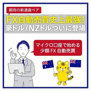 【大荒れ相場もフル稼働】長期運用型 AUDNZD EA オージーキウイ FX自動売買 ゴールドEA 完全無料 無料EA 資産運用 副業 投資 不労所得 r1