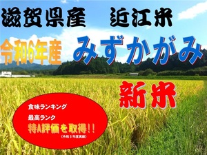 甲賀のおじいちゃんのおいしいお米　標準精米済約4.5㎏　環境こだわり米　近江米　みずかがみ　令和6年取れたて！！新米No.15