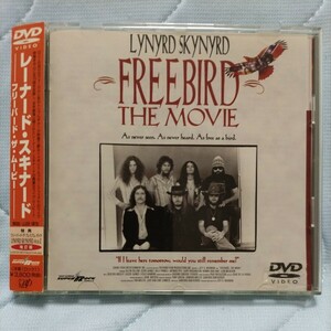 超貴重DVD サザン LYNYRD SKYNYRD/レーナードスキナード 歴史的ライヴ【フリーバード・ザ・ムービー】国内盤